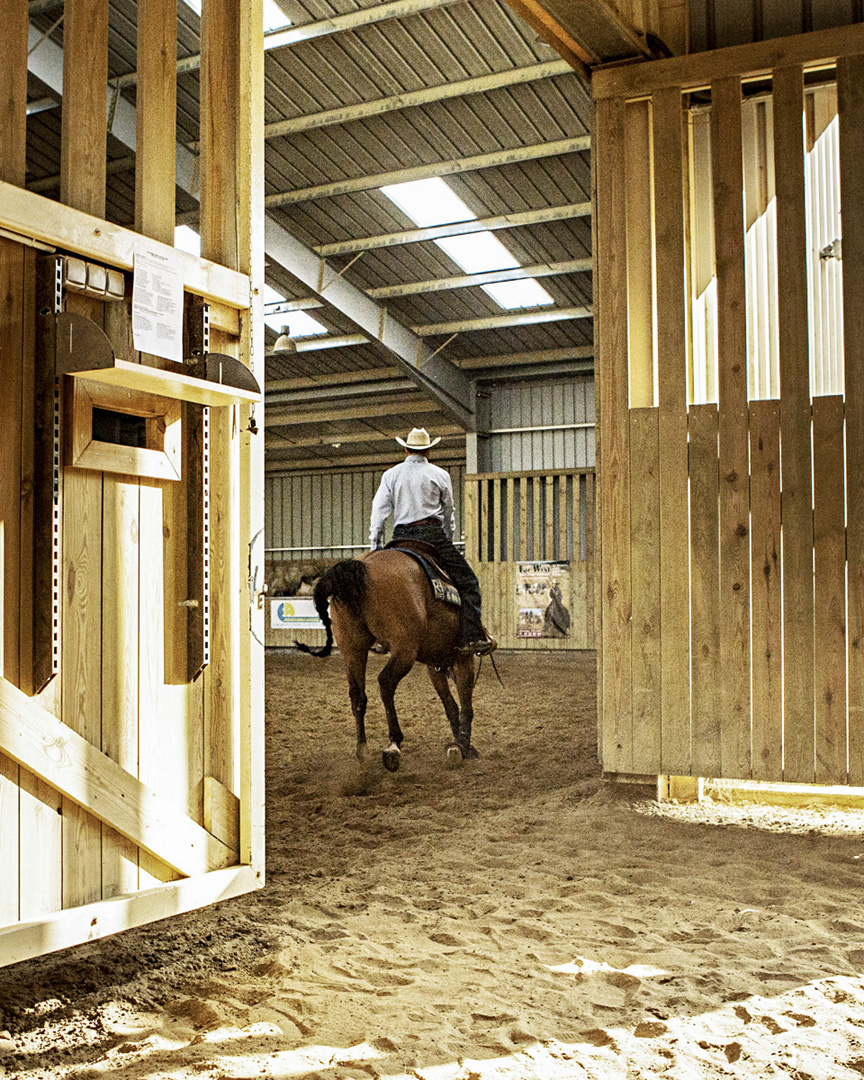 Jean-François Robert - Reining, des cowboys en Seine-et-Marne - 7